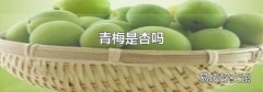 青梅是杏嗎