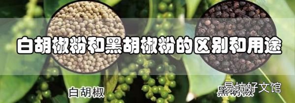 白胡椒粉和黑胡椒粉的區別和用途
