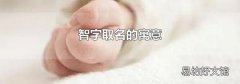 智字取名的寓意