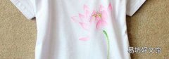 丙烯顏料弄到衣服上怎么洗