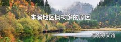 本溪地區楓樹多的原因