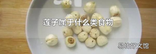 莲子属于什么类食物