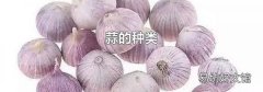 蒜的種類