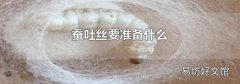 蚕吐丝要准备什么