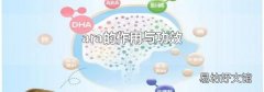 ara的作用与功效