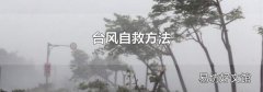 台风自救方法