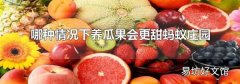 哪種情況下養瓜果會更甜螞蟻莊園