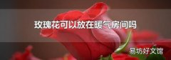 玫瑰花可以放在暖氣房間嗎