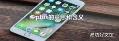 plus的意思和含义