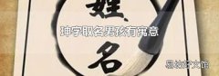 珅字取名男孩有寓意