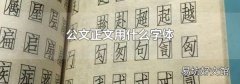 公文正文用什么字體