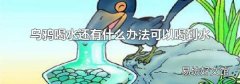 烏鴉喝水還有什么辦法可以喝到水