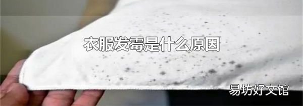 衣服發霉是什么原因
