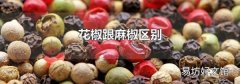 花椒跟麻椒區別