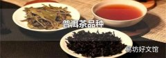 普洱茶品種