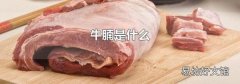 牛腩是什么