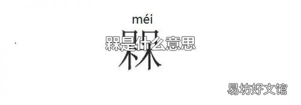 槑是什么意思