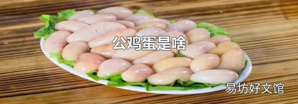 公雞蛋是啥