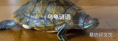 乌龟谜语