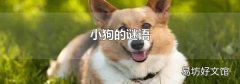 小狗的謎語