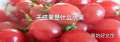 千禧果是什么水果