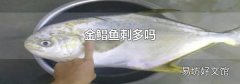 金鯧魚刺多嗎