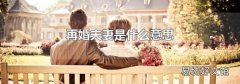 再婚夫妻是什么意思