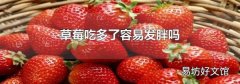 草莓吃多了容易发胖吗