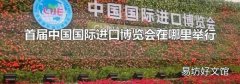 首届中国国际进口博览会在哪里举行