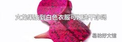 火龙果沾到白色衣服可以洗干净吗