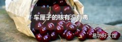 車厘子的核有沒有毒