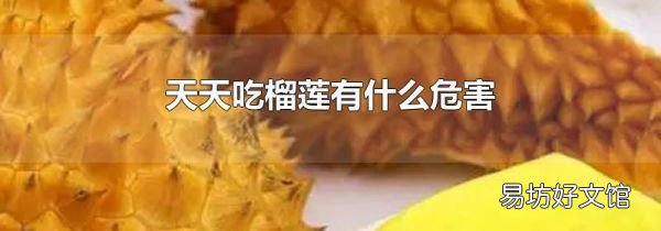 天天吃榴莲有什么危害