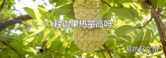 釋迦果熱量高嗎