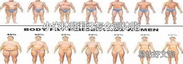 小米體脂秤2怎么測體脂