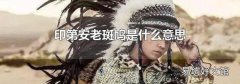 印第安老斑鳩是什么意思