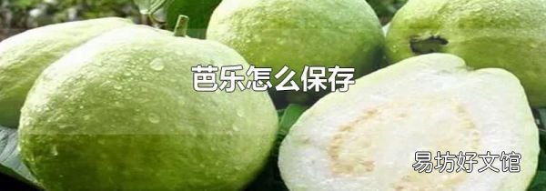芭樂怎么保存