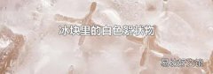 冰块里的白色絮状物
