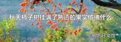 秋天柿子树挂满了熟透的果实仿佛什么