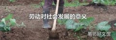 劳动对社会发展的意义