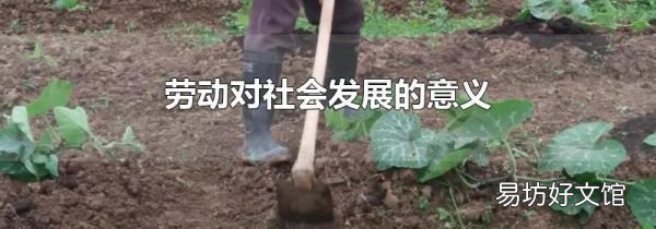 劳动对社会发展的意义