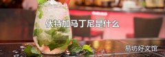 伏特加馬丁尼是什么
