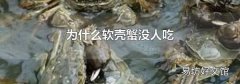 為什么軟殼蟹沒人吃