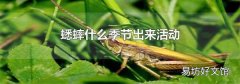 蟋蟀什么季節出來活動
