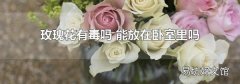 玫瑰花有毒嗎 能放在臥室里嗎