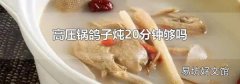 高壓鍋鴿子燉20分鐘夠嗎