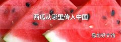 西瓜從哪里傳入中國