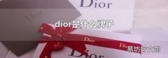 dior是什么牌子