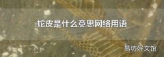 蛇皮是什么意思網絡用語