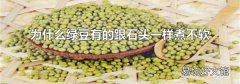 為什么綠豆有的跟石頭一樣煮不軟