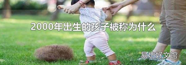 2000年出生的孩子被稱為什么